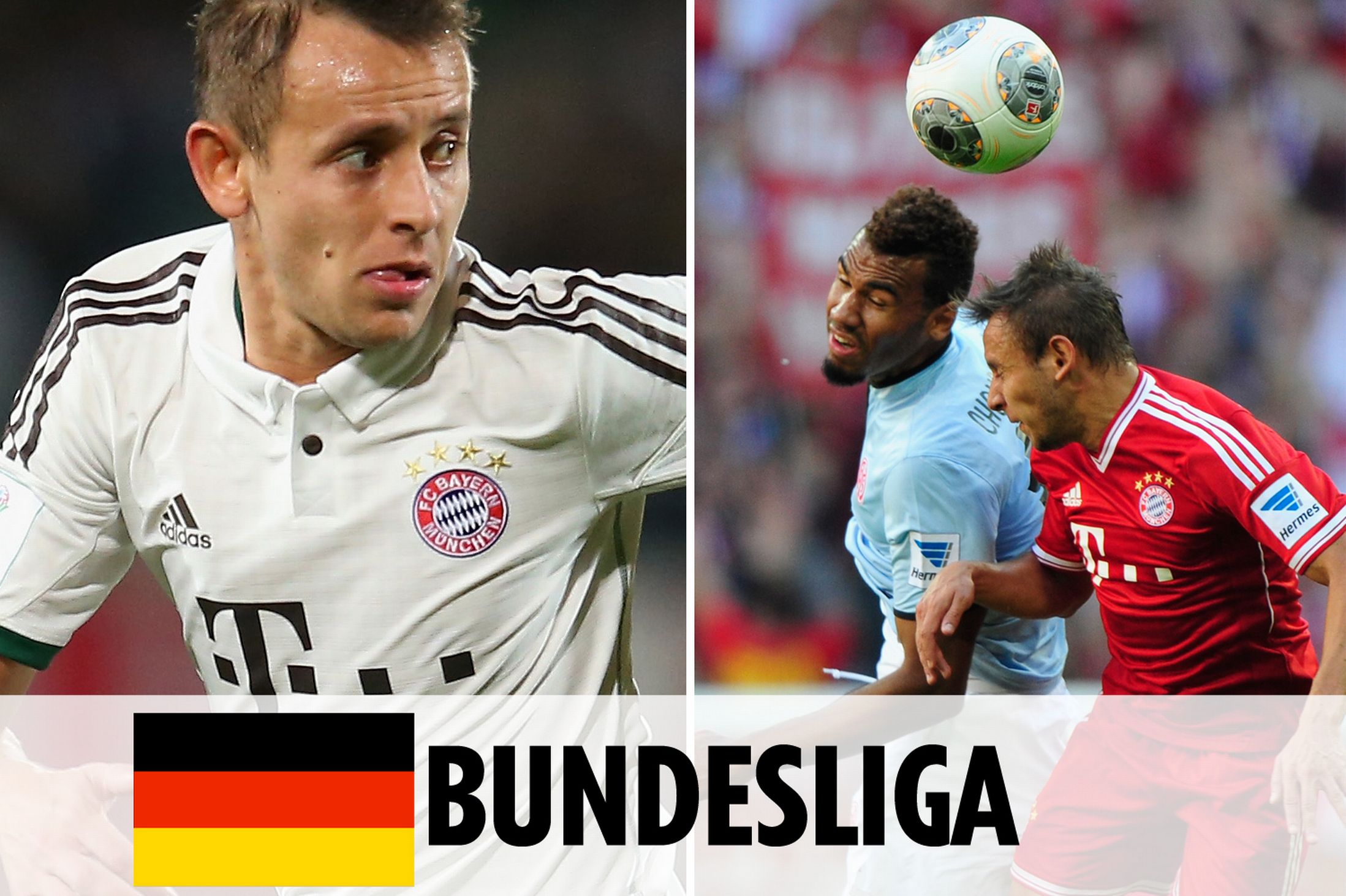 我可以帮你 我可以帮你