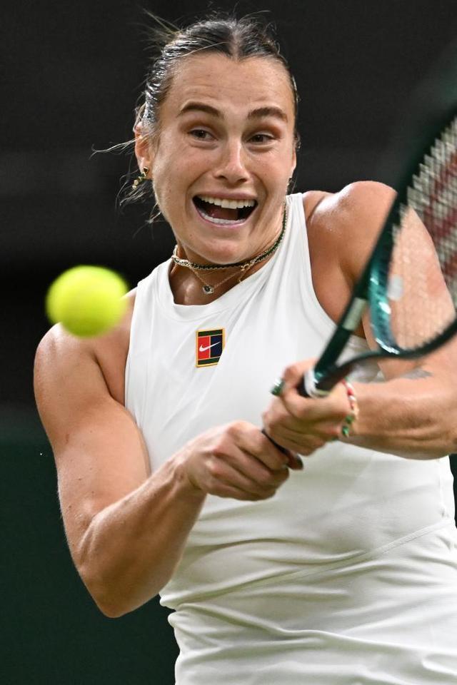 猛龙的调整 猛龙的调整