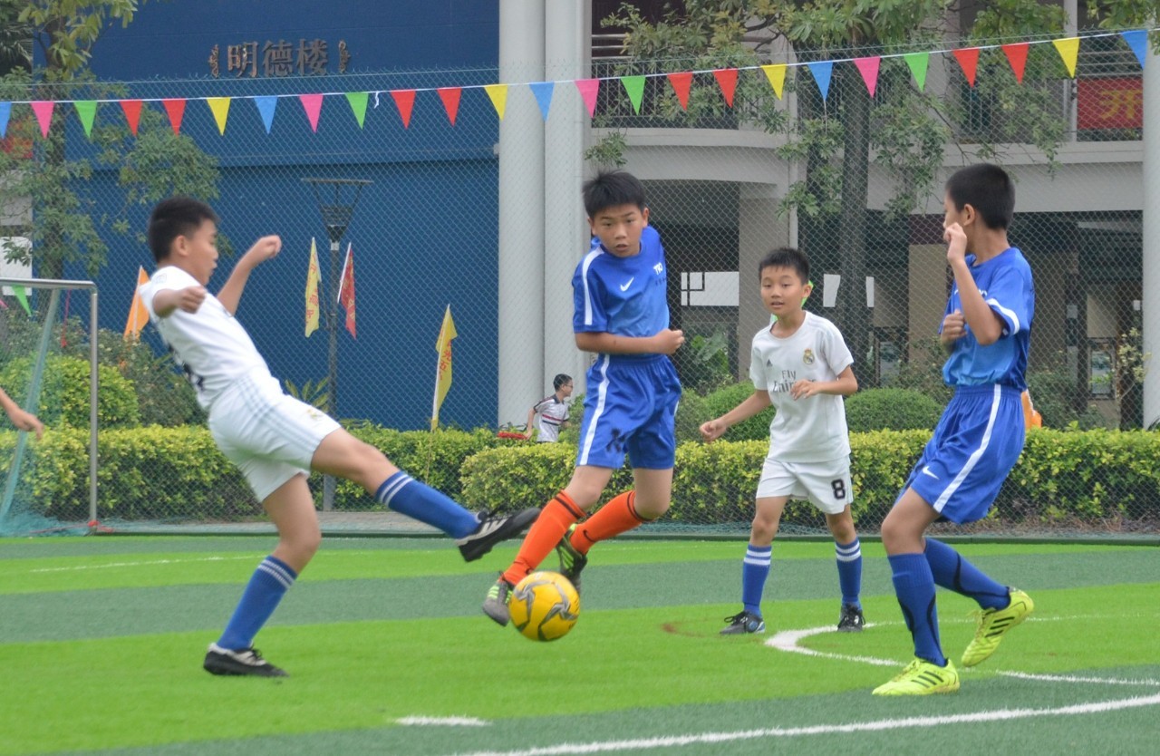 针对这些问 针对这些问